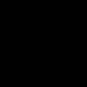 Meet your Posher, Georgia